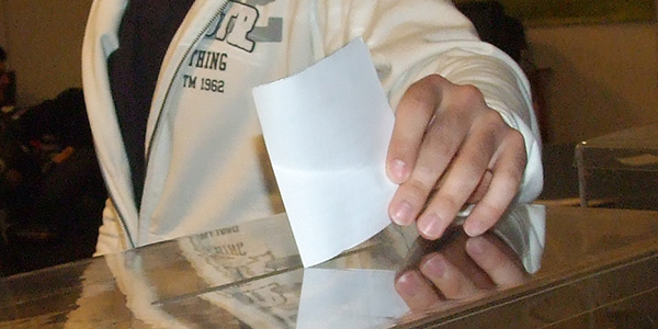 Na vanrednim parlamentarnim izborima glasalo 56% glasača u Boru