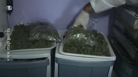 Nađeno osam kilograma marihuane na Horgošu