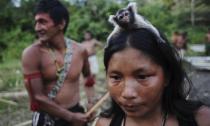 Najugroženije pleme na svetu ponovo u borbi za opstanak