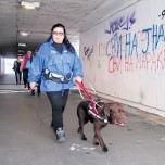 Napadnuta slepa žena i njen pas vodič
