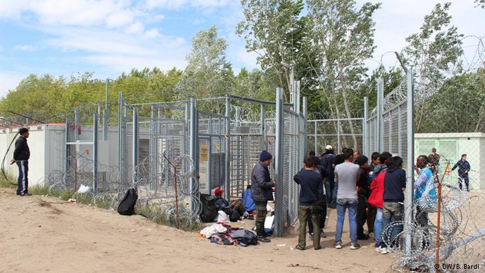 Nasukani na srpsko-mađarskoj granici