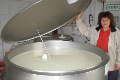 Nepovoljne cijene mlijeka smanjuju proizvodnju