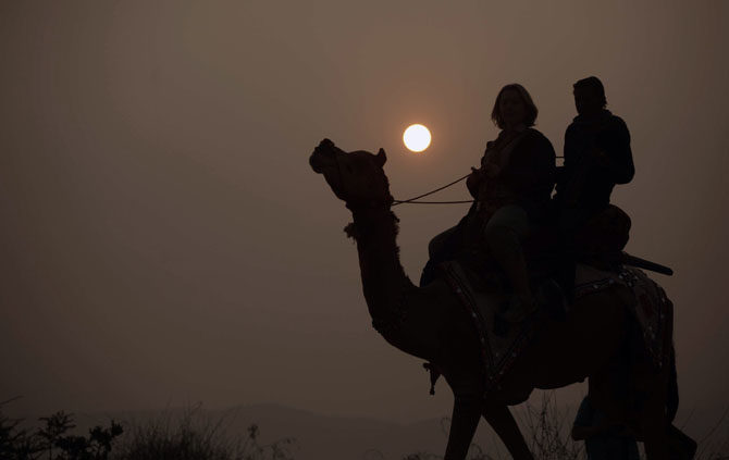 OVO SIGURNO NISTE ZNALI: Koliko litara vode kamila može da popije za 3 minuta?
