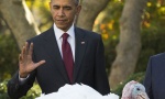 Obama pomilovao dve ćurke uoči Dana zahvalnosti