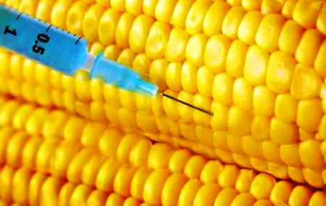 Obama potpisao zakon o strožem obilježavanju proizvoda koji sadrže GMO