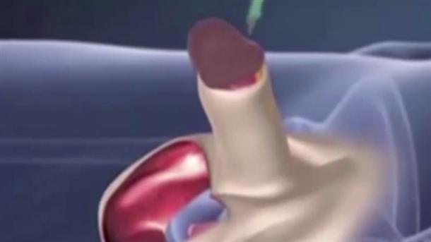 Korisna informacija: evo kako pravilno staviti penis u vaginu (video)