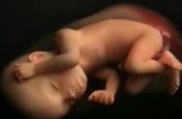 Od začeća do rođenja: Evo šta se dešava u stomaku tokom 9 meseci trudnoće