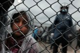 Oko 14.000 izbeglica na granice sa Makedonijom