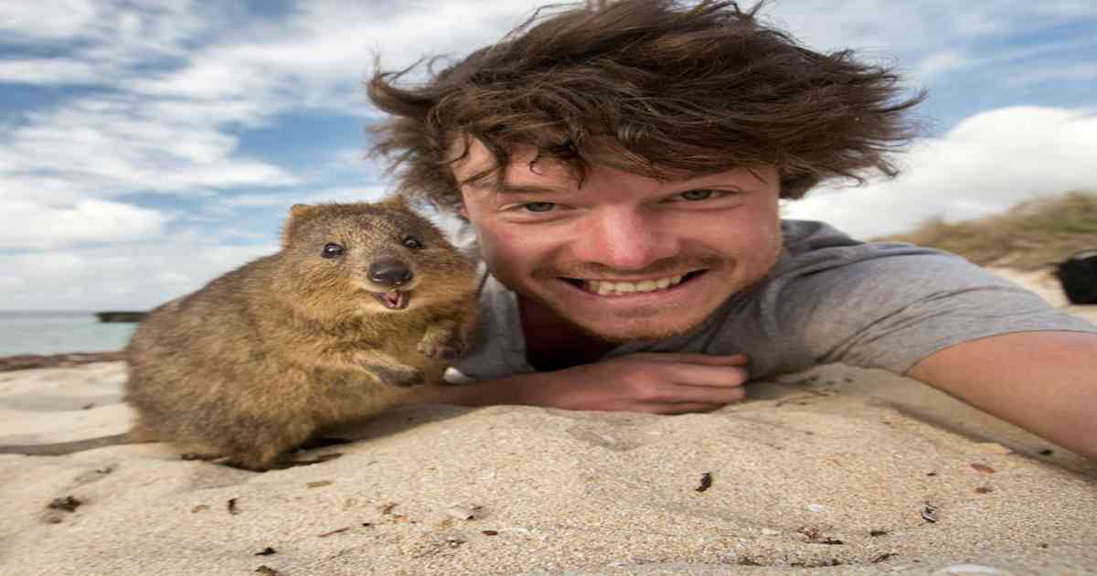 On je podigao selfije na viši nivo… jer sa njim poziraju životinje!