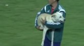 Ovaj pas je sebi ostvario san: Upao je na fudbalski teren i počeo da skače od sreće (VIDEO)