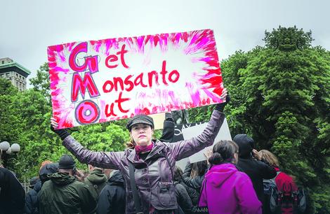 PROBLEMI U GMO CARSTVU Bajer ipak ne preuzima zloglasni Monsanto