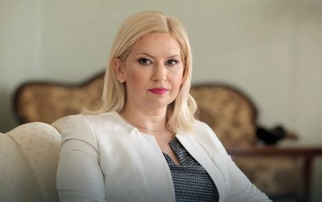 PROMENE U SNS Mihajovićeva: Ideja je da se podele partijske i državne funkcije