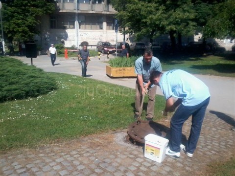 Pčelari oprez, zamagljivanje protiv komaraca u Leskovcu