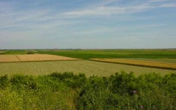 
					Poljoprivrednici iz Sombora pisali Vučiću zbog uzurpacije državnog zemljišta 
					
									