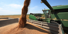 Poljoprivrednici najavili proteste zbog cene pšenice