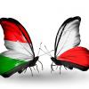 Poljska: Približavanje Mađarskoj ili orbanizacija