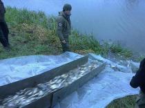 Poribljavanje ribolovnih voda u Vojvodini