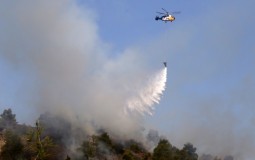 
					Požar na Halkidikiju lokalizovan, srpski turisti van opasnosti 
					
									