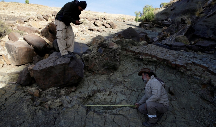 Pronađen otisak stopala dinosaurusa širok 1,2 metra