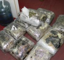Pronađeno preko 16 kilograma marihuane u autobusu