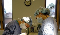 Prva operacija kičmene moždine matičnim ćelijama