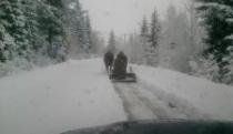 Prvi sneg zaustavio saobraćaj na severu Crne Gore