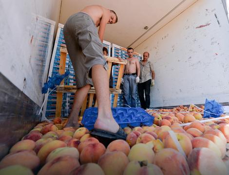 RUSKA PODVALA SA BRESKVAMA Zašto su Rusi za tri meseca vratili u Srbiju 16 pošiljki voća i povrća