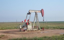 
					Rast na Vol stritu s oporavkom cena nafte 
					
									