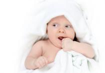 Rođeno 26 beba, blizanci u Novom Sadu