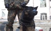 Rusi napravili pancire za policijske pse
