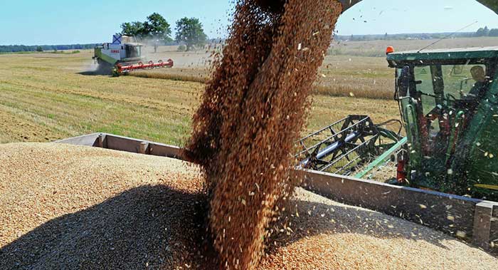 Rusija izvozi u Kinu vodu, pšenicu i pirinač