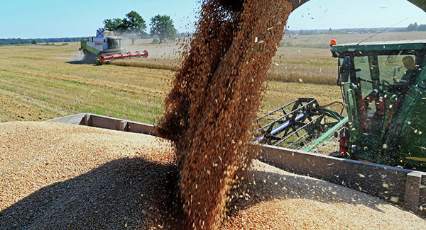 Rusija prestiže SAD i Kanadu po izvozu pšenice
