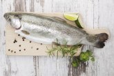 SAD odobrile upotrebu GMO ribe za ishranu