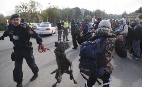 STIGLA ISPOMOĆ: I austrijski policajci kontrolišu mađarsko-srpsku granicu! 