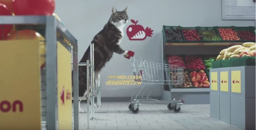 Simpatična reklama sa mačkama privukla ogromnu pažnju na YouTube-u