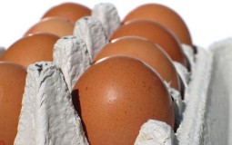 
					Slovenci brendirali jaja koja usporavaju Alchajmerovu bolest 
					
									