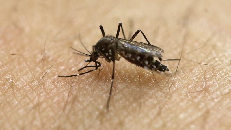 Španija: Trudnica zaražena virusom zika