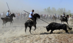Španska regionalna vlada zabranjuje ubijanje bikova na festivalima