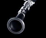 Srpski klarinetista počasni član Evropske asocijacije