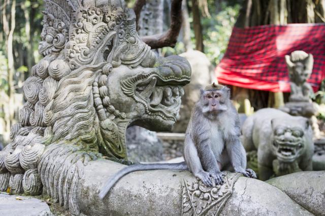 Šta obavezno treba da znate ako putujete na Bali
