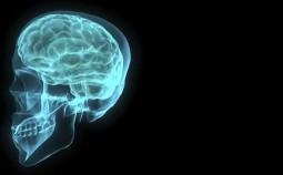 
					Šta se dešava s mozgom kad ne spavamo dugo? 
					
									