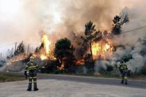 Šumski požari: Evakuisano više od 1.350 žitelja