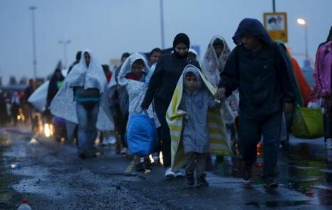Švedska potiče privremeni rad migranata