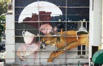 Svjetski grafiti na zidovima Novog Pazara (FOTO)
