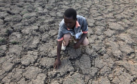 TRI MILIONA LJUDI GLADUJE: Oko 70 odsto useva u Zimbabveu propalo zbog klimatskih promena