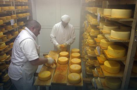 TRŽIŠTE Uvoz viška iz EU uništava domaći sir