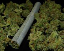 Titel: Policija zaplenila 160 grama marihuane