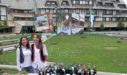 Tradicionalna manifestacija na Kopaoniku okupila ljubitelje bobičastog voća