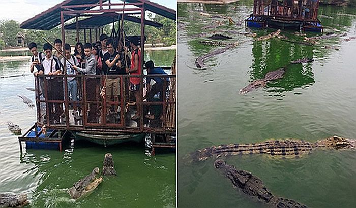 Turisti rizikovali život da bi nahranili krokodile