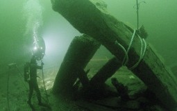 
					U olupini broda u Baltičkom moru pronađen 340 godina star sir 
					
									